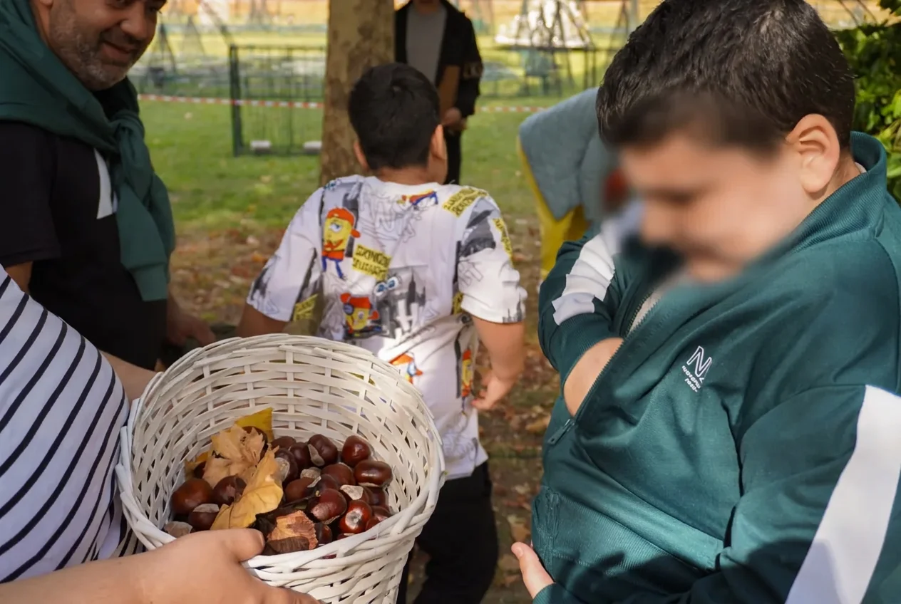 Coș cu castane adunate de copii